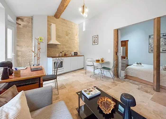 アパート T2 En Centre-ville De ディジョン