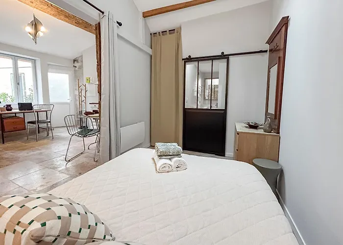 アパート T2 En Centre-ville De ディジョン